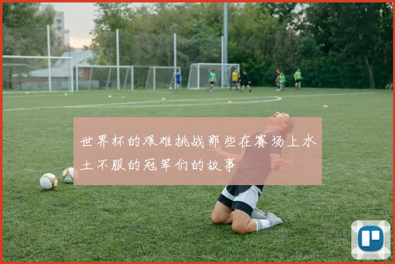 世界杯的艰难挑战那些在赛场上水土不服的冠军们的故事